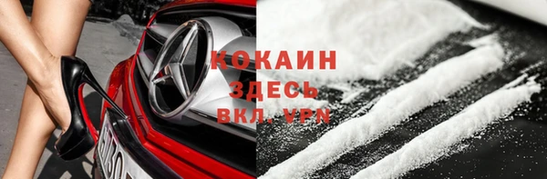 крисы Армянск