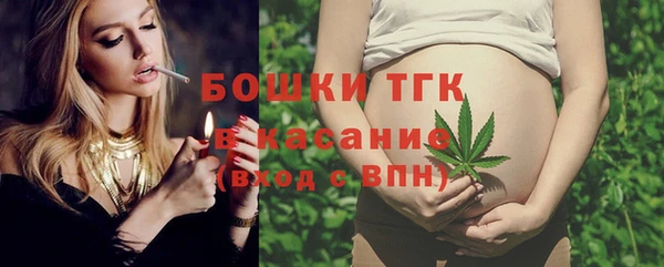 крисы Армянск