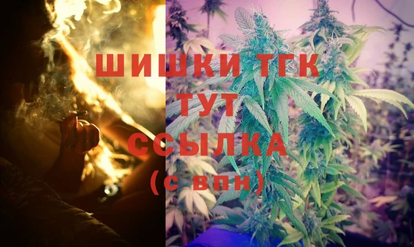 крисы Армянск