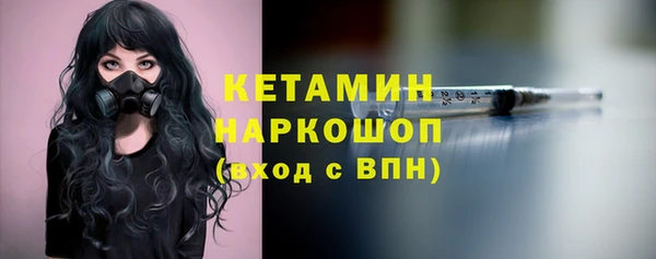 крисы Армянск