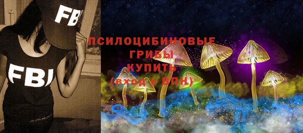 мяу мяу мука Арсеньев