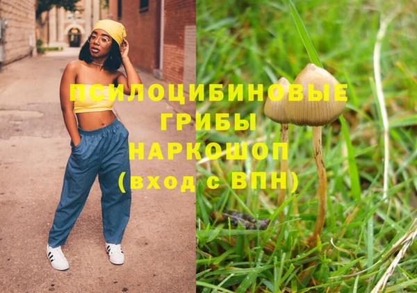 мяу мяу мука Арсеньев