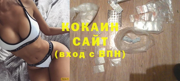 крисы Армянск