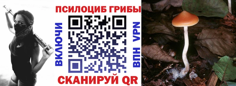 наркошоп  Кирс  Псилоцибиновые грибы ЛСД 